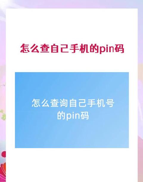 使用pin码登录