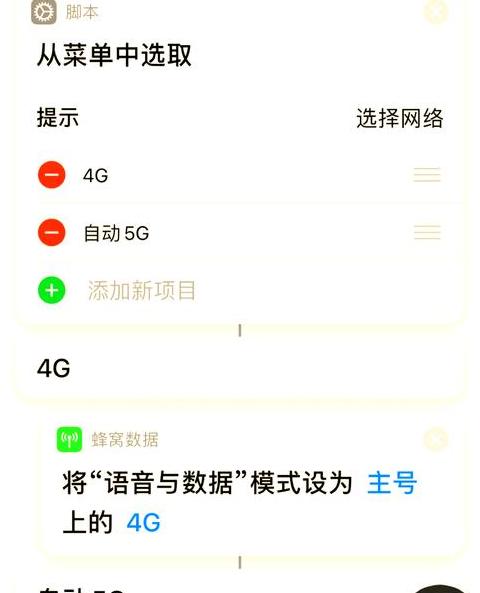 苹果网络4g和5g怎么切换