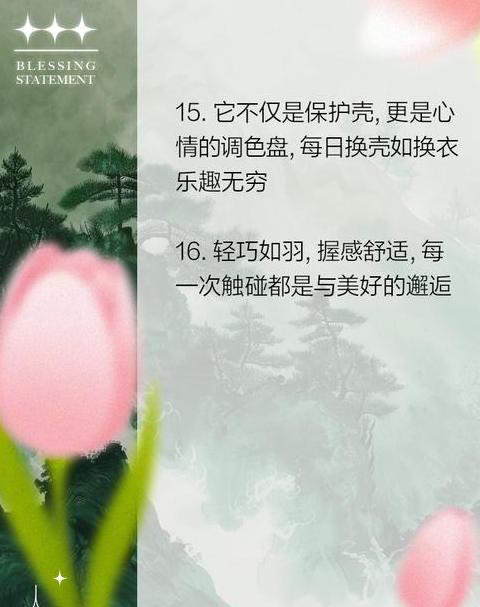 手机壳好评评语过客网