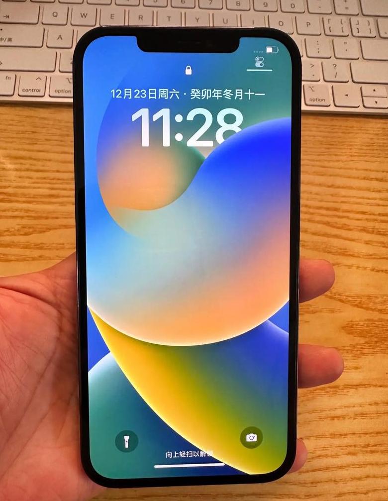 苹果手机12promax运行内存