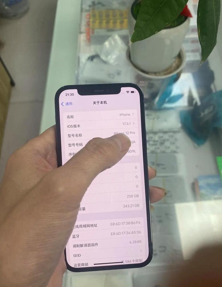iphone12pro运行内存怎么看
